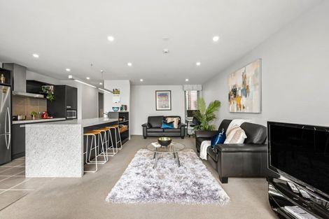 Photo of property in Republic Apartments, 1a/11 Tennyson Street, Te Aro, Wellington, 6011