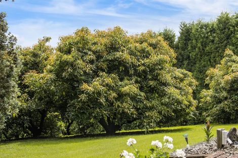 Photo of property in 81 Wharawhara Road, Tahawai, Katikati, 3178