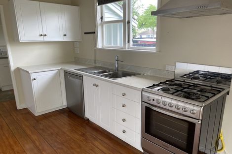 Photo of property in 117 Fairfield Road, Fairfield, Hamilton, 3214