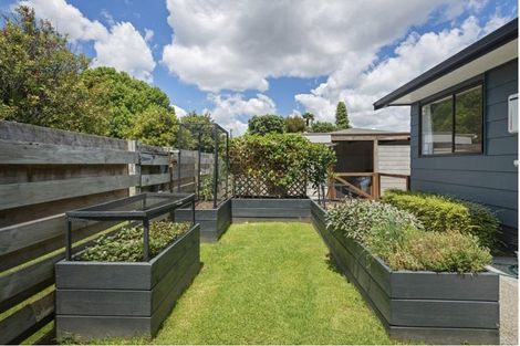 Photo of property in 11 Brinkley Road, Otumoetai, Tauranga, 3110