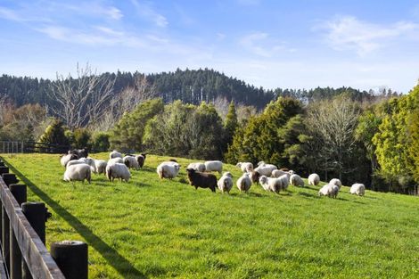 Photo of property in 36b Farquharson Road, Hunua, 2583