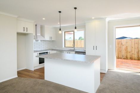 Photo of property in 43 Hereford Street, Marton, 4710