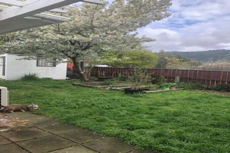 Photo of property in 48 Daniell Street, Featherston, 5710