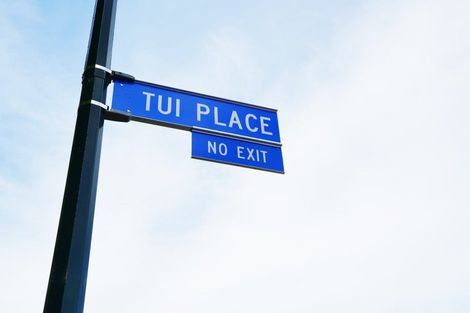 Photo of property in 7 Tui Place, Edendale, 9893