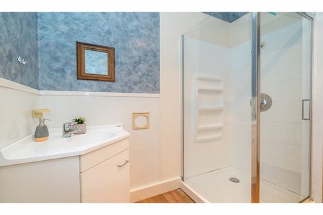 Photo of property in 117 Riselaw Road, Calton Hill, Dunedin, 9012