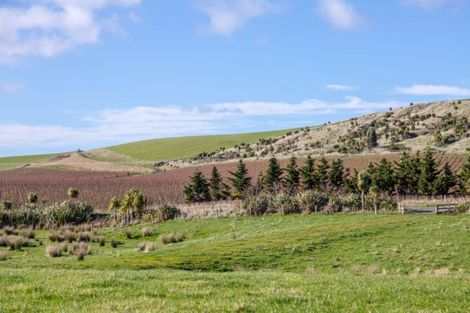 Photo of property in 962 Lake Ferry Road, Dyerville, Martinborough, 5781