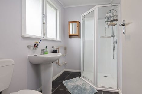 Photo of property in 219 Vogel Street, Roslyn, Palmerston North, 4414