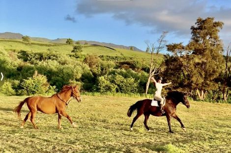 Photo of property in 210c Okauia Springs Road, Okauia, Matamata, 3471