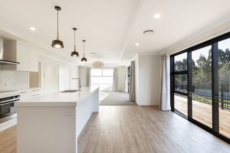 Photo of property in 41 Grandvista Drive, Green Island, Dunedin, 9018