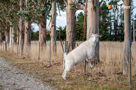 Photo of property in 6189 Middlemarch-sutton Road, Middlemarch, 9597