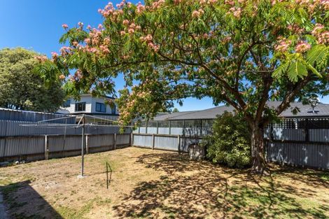 Photo of property in 11 Dillon Street, Blenheim, 7201