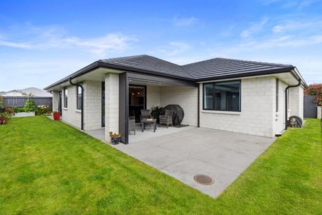 Photo of property in 11 Stevenson Drive, Papamoa, 3118