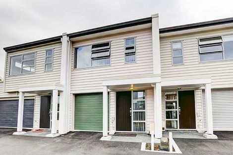 Photo of property in 19 Portland Lane, Chartwell, Hamilton, 3210