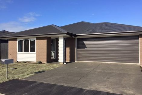 Photo of property in 8 Booth Way, Belfast, Christchurch, 8051