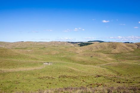 Photo of property in 300 Pattison Road, Akina, Hastings, 4122