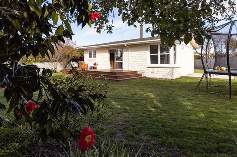 Photo of property in 11 Litchfield Street, Redwoodtown, Blenheim, 7201