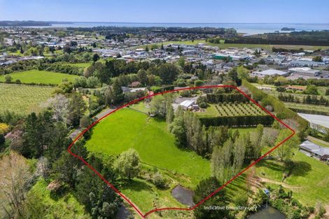 Photo of property in 19 Henry Road, Katikati, 3129