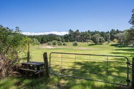 Photo of property in 28 Wahitapu Lane, Opoutere, Whangamata, 3691