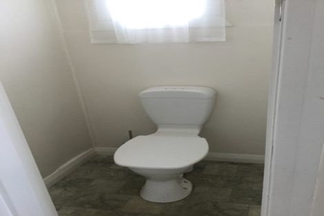 Photo of property in 56 Limbrick Street, Terrace End, Palmerston North, 4410