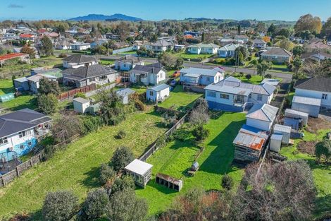 Photo of property in 49 Neal Street, Putaruru, 3411