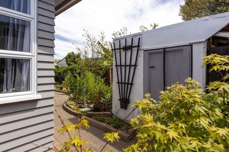 Photo of property in 139 Hospital Road, Witherlea, Blenheim, 7201