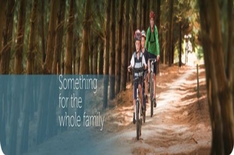 Photo of property in 13 Aroha Street, Pegasus, 7612