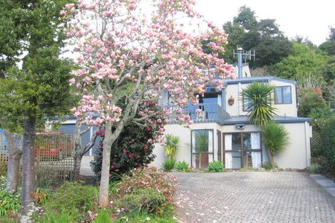 Photo of property in 129 Waireka Place, Whangamata, 3620