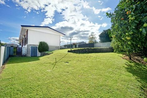 Photo of property in 58 Boucher Avenue, Te Puke, 3119