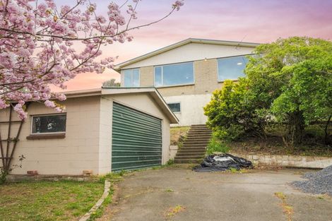 Photo of property in 784 Brighton Road, Ocean View, Dunedin, 9035