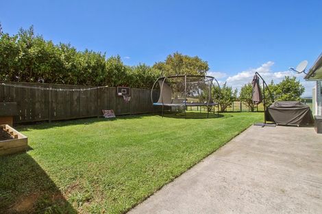 Photo of property in 550 Waiau Pa Road, Waiau Pa, Pukekohe, 2679