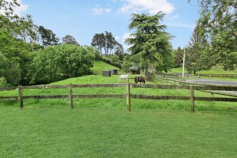 Photo of property in 28 Gallagher Street, Springfield, Rotorua, 3015