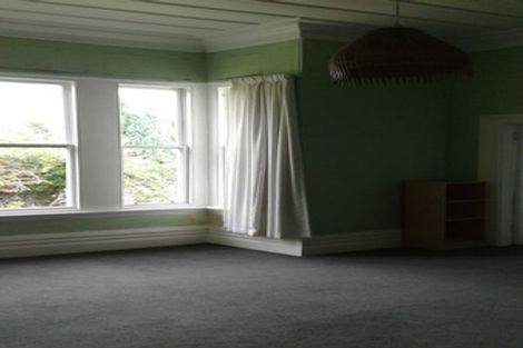 Photo of property in 87 Signal Hill Road, Opoho, Dunedin, 9010