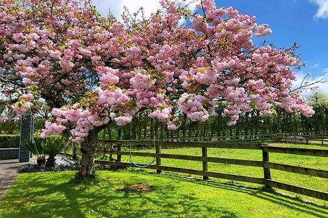 Photo of property in 49 Trentham Road, Matangi, Hamilton, 3284