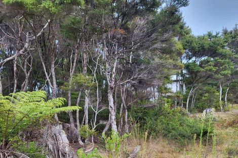 Photo of property in 10 Wilson Avenue, Kawau Island, 0920