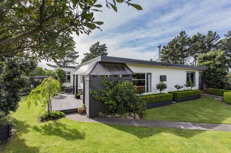 Photo of property in 49 Chamberlain Avenue, Amberley, 7481