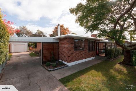 Photo of property in 117 Stanford Street North, Ashhurst, 4810