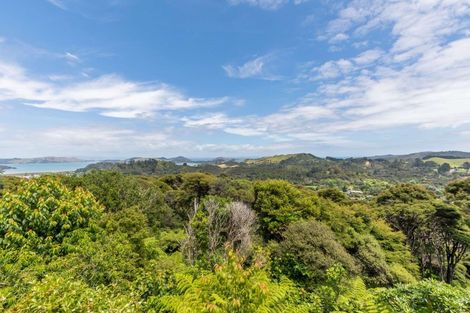 Photo of property in 800 Buffalo Road, Coromandel, 3506