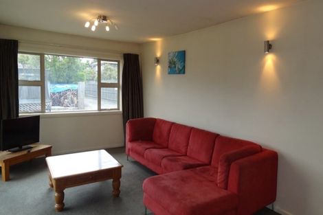 Photo of property in 99 Windermere Road, Papanui, Christchurch, 8053