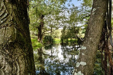 Photo of property in 371 Esdaile Road, Whakamarama, Tauranga, 3180