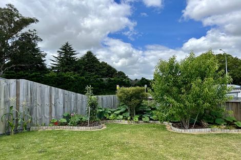 Photo of property in 19 Normanby Street, Rakaia, 7710