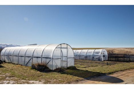 Photo of property in 12 Swamp Lane, Waikerikeri, Alexandra, 9393