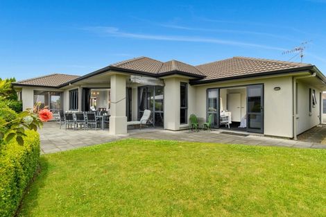 Photo of property in 40 Chater Avenue, Bethlehem, Tauranga, 3110