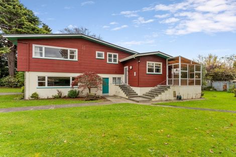 Photo of property in 43 Wakeman Street, Pahiatua, 4910