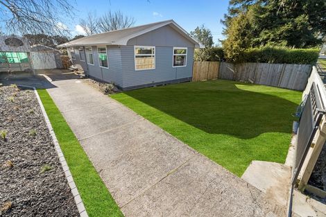 Photo of property in 91 Masters Avenue, Silverdale, Hamilton, 3216