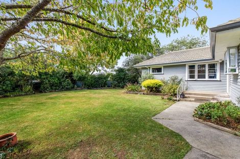 Photo of property in 11 Vogel Street, Sheffield, 7500