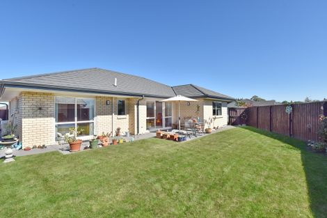Photo of property in 9c Blackburn Street, Kaiapoi, 7630