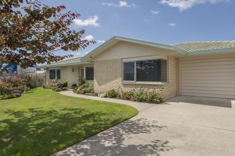 Photo of property in 37 Aaron Place, Brookfield, Tauranga, 3110