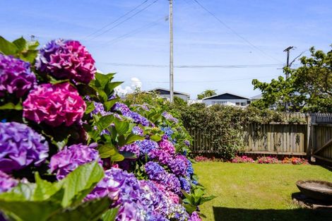 Photo of property in 187 Brooklands Road, Vogeltown, New Plymouth, 4310