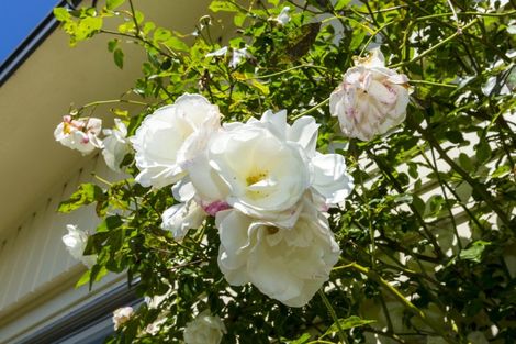 Photo of property in 20 Blue Mountains Road, Silverstream, Upper Hutt, 5019