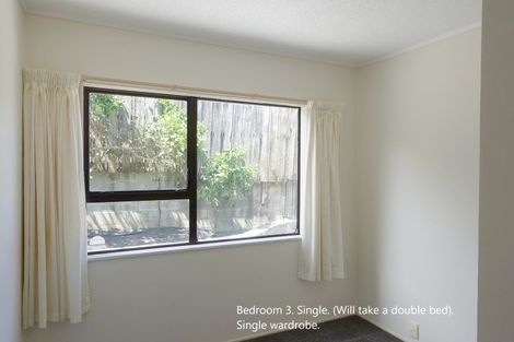 Photo of property in 1/163 Balmain Road, Birkenhead, Auckland, 0626